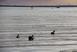 水,海,海邊