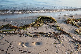 水,海,海邊