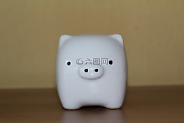小豬,存錢(qián)罐,白色