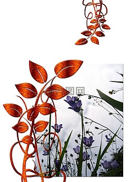 鮮花,背景,葉子
