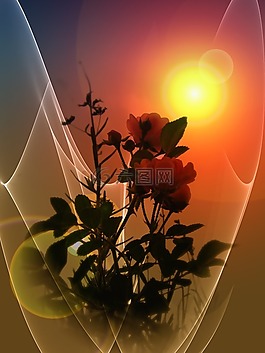 鮮花,背景,葉子
