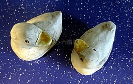 粘土的數(shù)字,對鴨的,輪