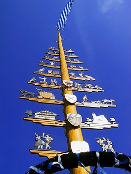樹(shù),巴伐利亞,樺木