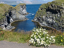 冰島,海岸,大西洋