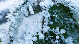 弗羅斯特,冬天,雪