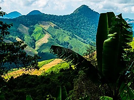 山景觀,山,泰國北部