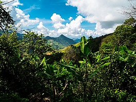 山景觀,山,泰國北部