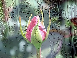 雨,雨滴,性質(zhì)