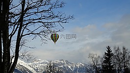 雪,性質(zhì),樹(shù)