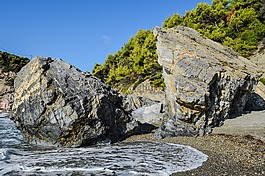 巖,海灘,野生