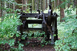 森林,機(jī),老