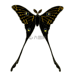 動(dòng)物,蝴蝶,昆蟲(chóng)