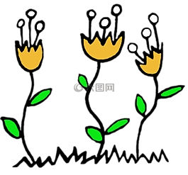 橙,花,花卉