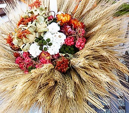 干花束,鮮花,穗