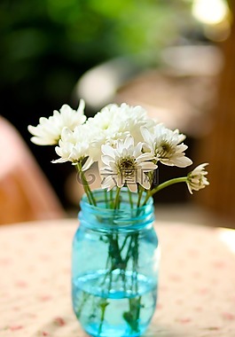 鲜花,新鲜,vasses