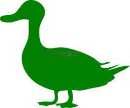 鴨,鳥,水