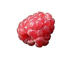 浆果,覆盆子,红
