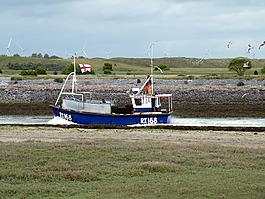 釣魚,船,漁船