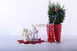 星星,藤,花盆