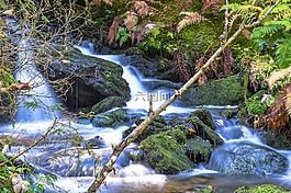 水,過獨(dú)身生活,奧地利