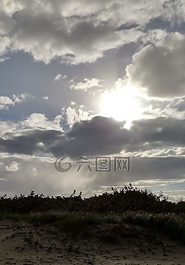 海灘,沙,沙丘
