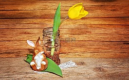 郁金香,黃色,花