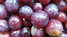 水果,食品,漿果