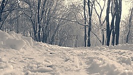 公園,雪,腳印