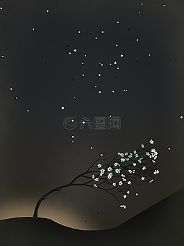 夜,星,生命