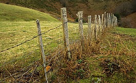 關(guān)閉,鐵絲網(wǎng),草原