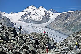 瑞士,eggishorn,全景
