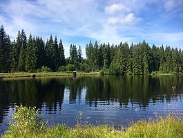 夏季假日,湖,水