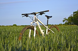 自行車,運(yùn)動(dòng),業(yè)余愛(ài)好