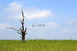 景觀,自然,天空
