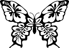 蝴蝶,蛾,昆蟲