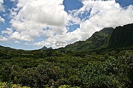 山脈,山,自然