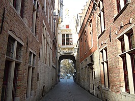 胡同,路,首頁