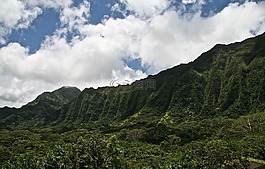 山脈,山,自然