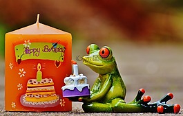 生日快樂(lè),生日,青蛙