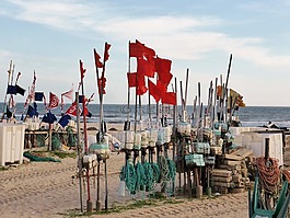 漁業,桎梏,海灘