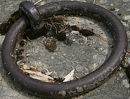 锚点,鲁棒性,法国
