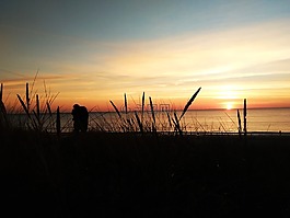 日落,愛情,的egmond aan zee的海灘