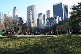 中央公園,紐約市,冬天