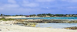 海滩,景观,沙丘