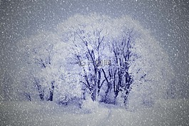 繪圖,寒冬,雪