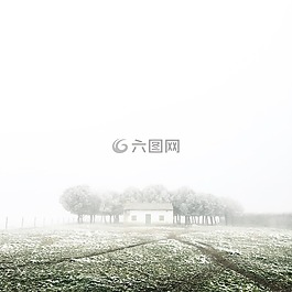 自然,房子,首頁