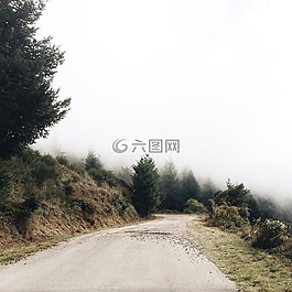 自然,通路,旅行