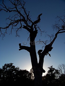 老,衰變,拆分