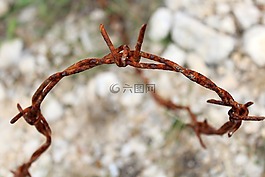 線,鐵絲網(wǎng),不銹鋼