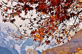 山,秋,景區(qū)